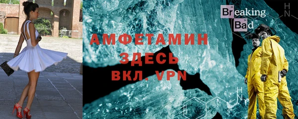 прущие грибы Кулебаки