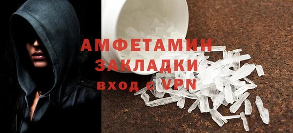 прущие грибы Кулебаки