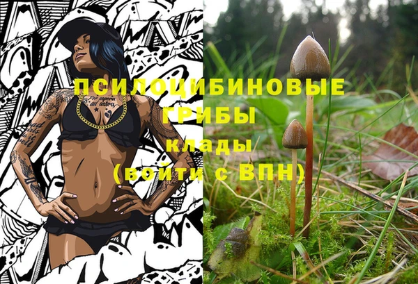 COCAINE Ладушкин