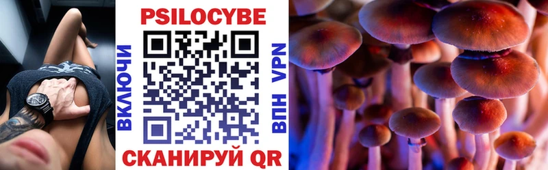 Купить где  Мурино  Галлюциногенные грибы GOLDEN TEACHER 